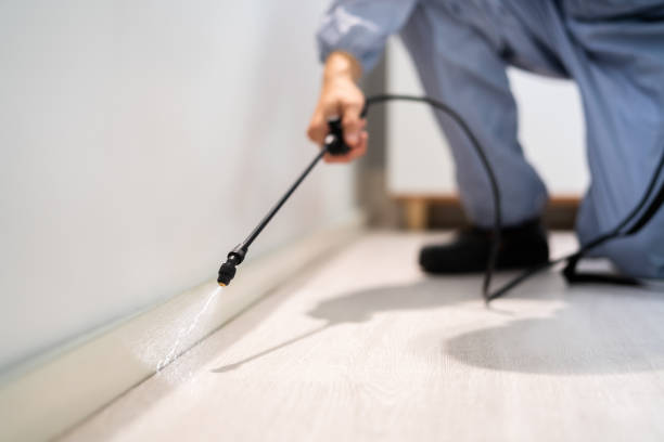 Licensed Mosquito Control service in Flora, MS - Show Me Pest Control