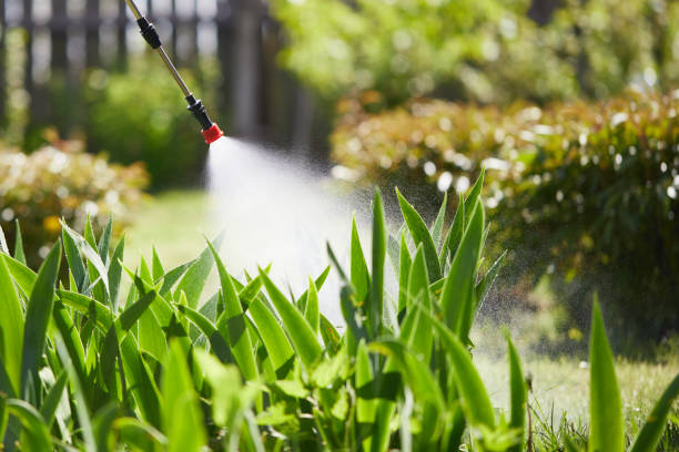 24/7 Emergency Mosquito Control experts in Flora, MS