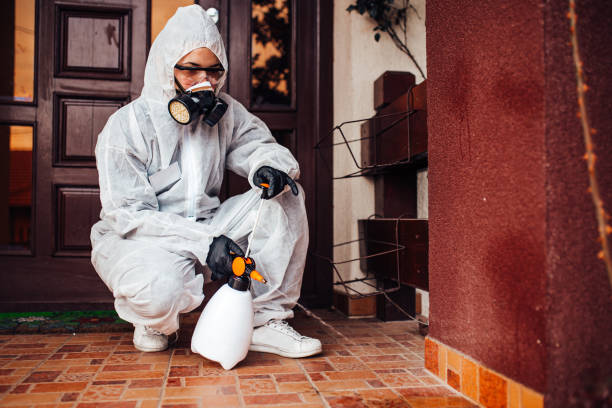 Reliable Mosquito Control contractor in Flora, MS by Show Me Pest Control