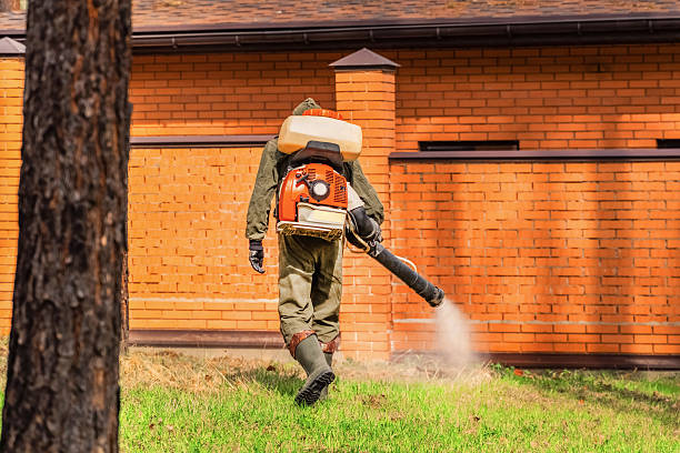 Top rated local Mosquito Control specialists in Flora, MS